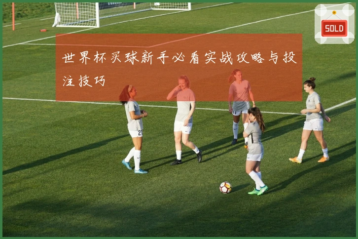 世界杯买球新手必看实战攻略与投注技巧