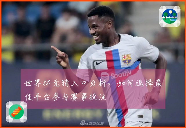 世界杯竞猜入口分析，如何选择最佳平台参与赛事投注