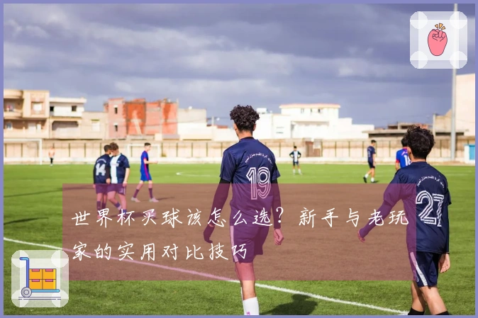 世界杯买球该怎么选？新手与老玩家的实用对比技巧