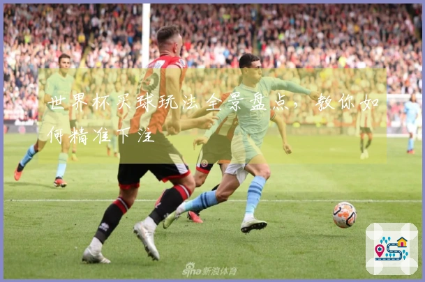 世界杯买球玩法全景盘点，教你如何精准下注