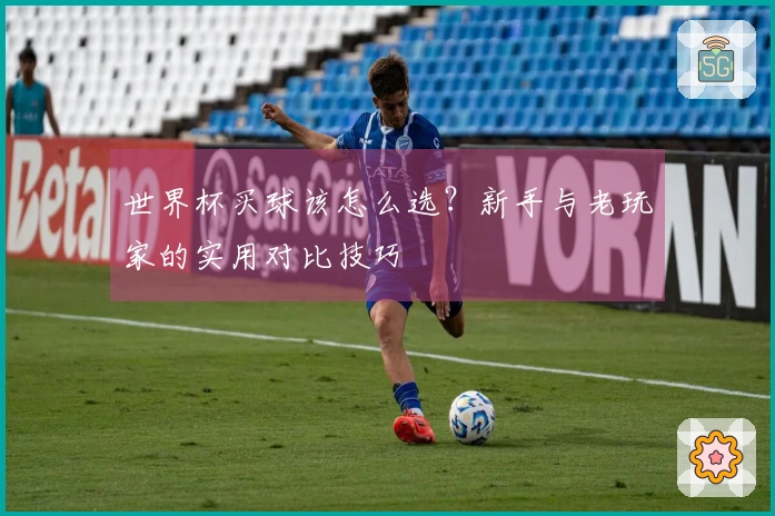 世界杯买球该怎么选？新手与老玩家的实用对比技巧