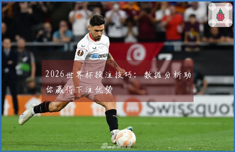 2026世界杯投注技巧：数据分析助你赢得下注优势