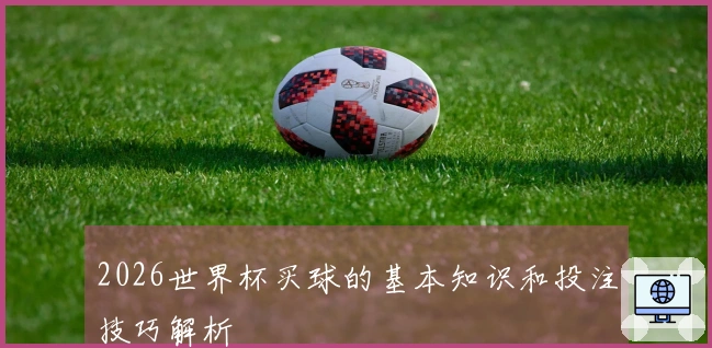 2026世界杯买球的基本知识和投注技巧解析