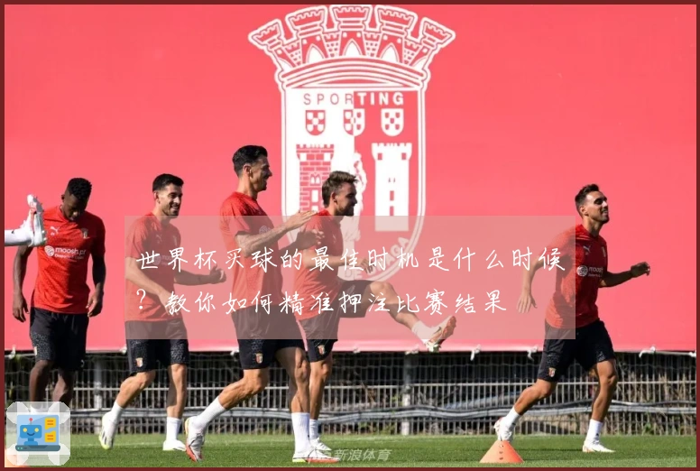 世界杯买球的最佳时机是什么时候？教你如何精准押注比赛结果