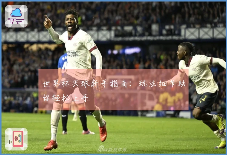 世界杯买球新手指南：玩法细节助你轻松上手