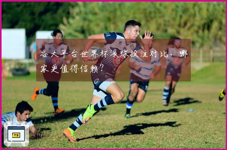 各大平台世界杯滚球投注对比，哪家更值得信赖？